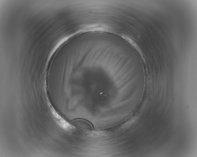 X0000081620941200701291449