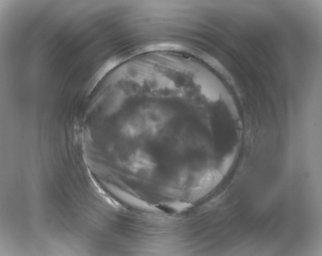X0000081620945200701291449