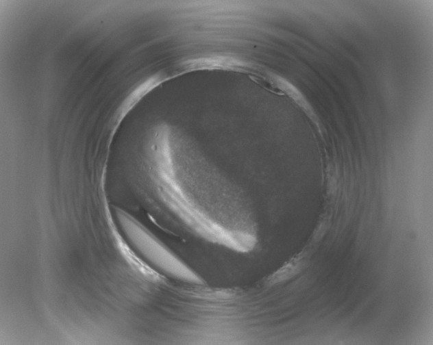 X0000081620946200701291449