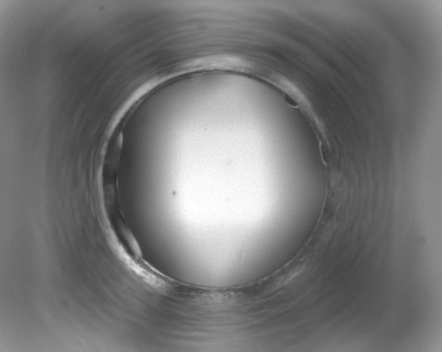 X0000081620947200701291449