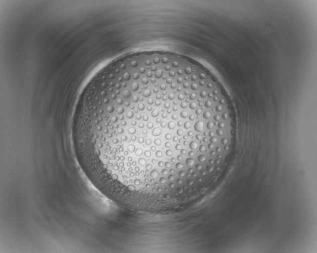 X0000081620949200701291449
