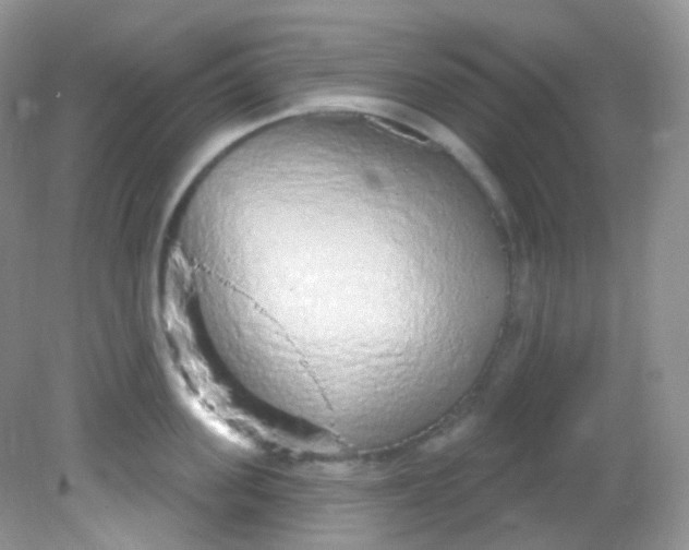 X0000081620955200701291449