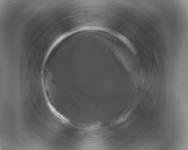 X0000081620958200701291449