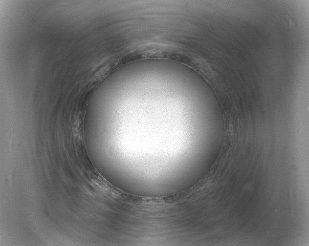 X0000081620964200701291449