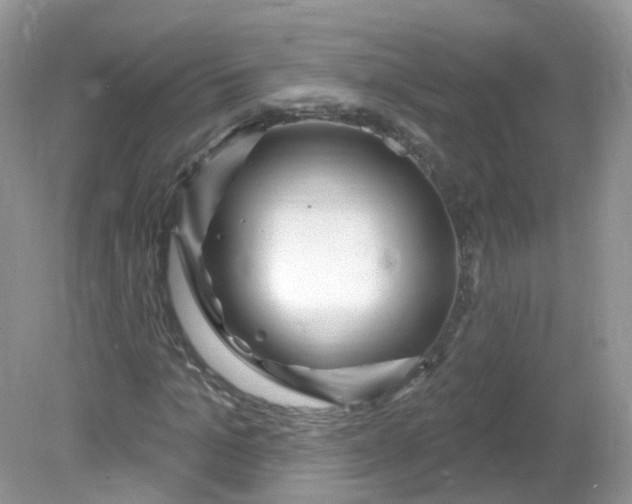 X0000081620965200701291449