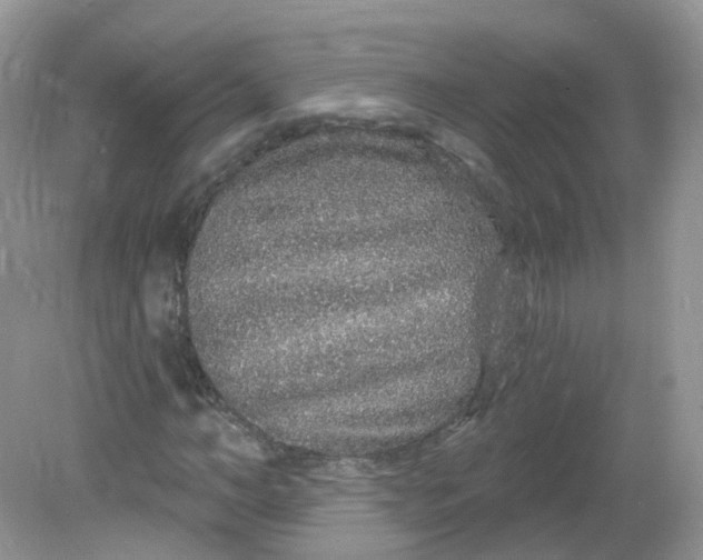 X0000081620966200701291449