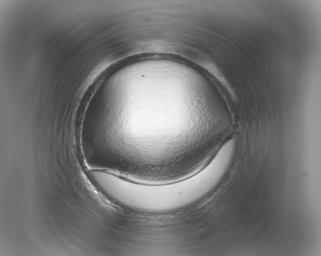 X0000081620972200701291448
