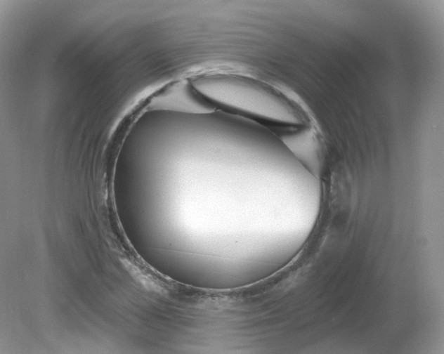 X0000081620973200701291448