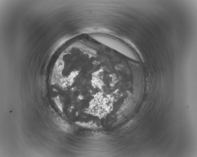 X0000081620975200701291448