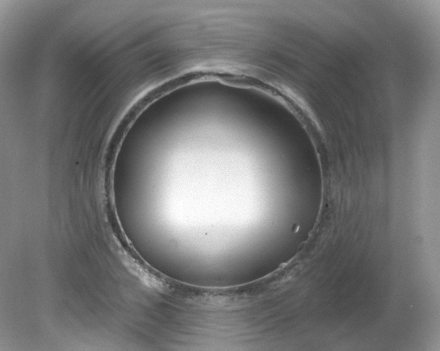 X0000081620976200701291448