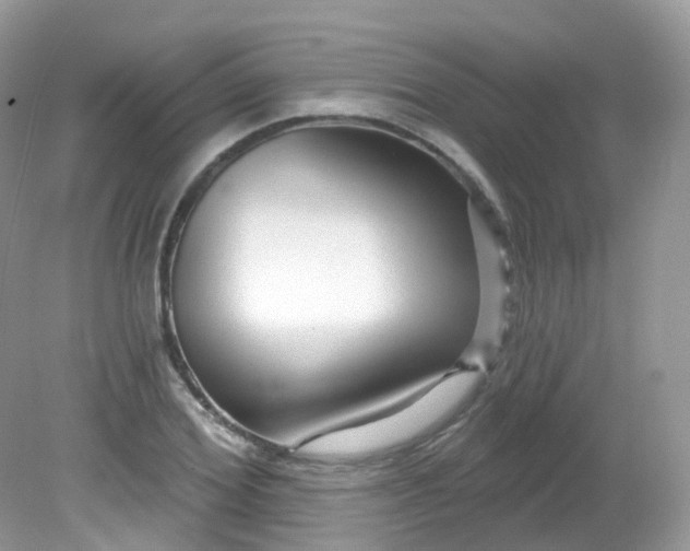 X0000081620980200701291448