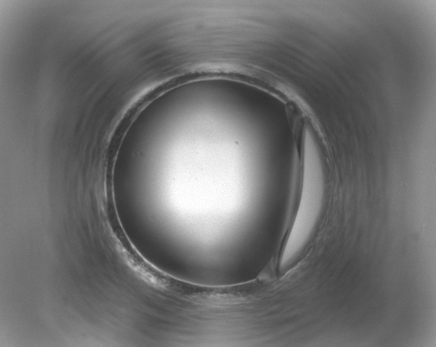 X0000081620984200701291448