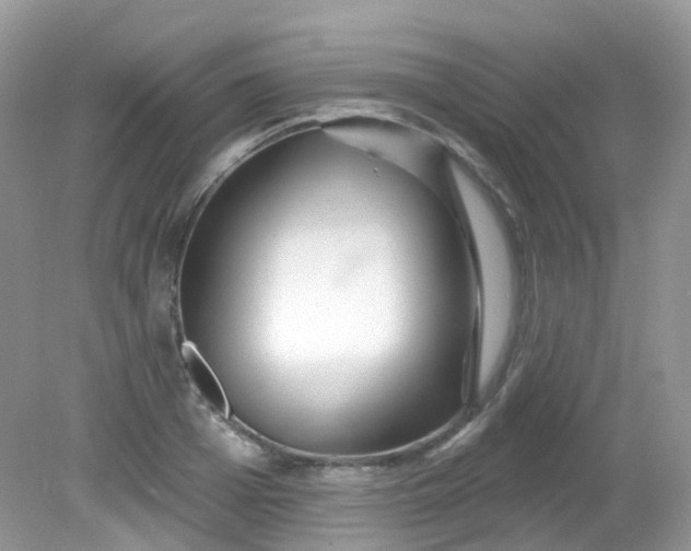 X0000081620985200701291448