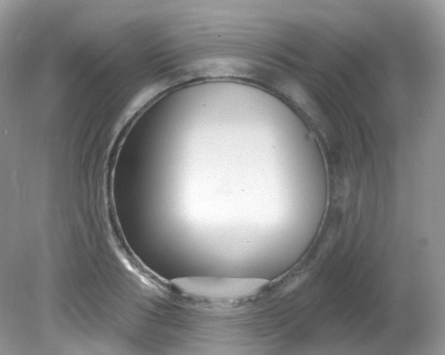 X0000081620986200701291448
