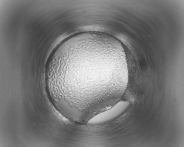 X0000081620992200701291448