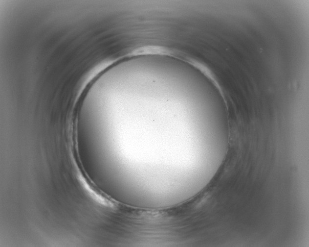 X0000081621003200701291448