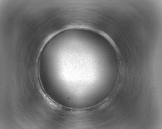 X0000081621004200701291448