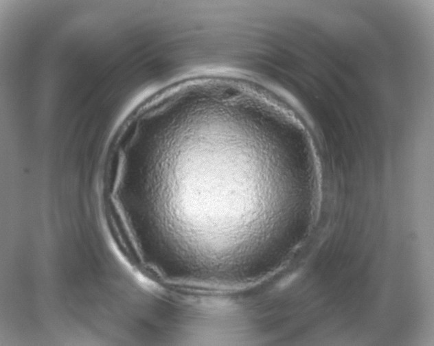 X0000081621007200701291448