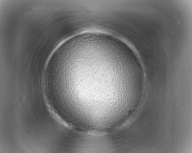 X0000081621008200701291448
