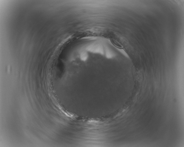 X0000081621009200701291447