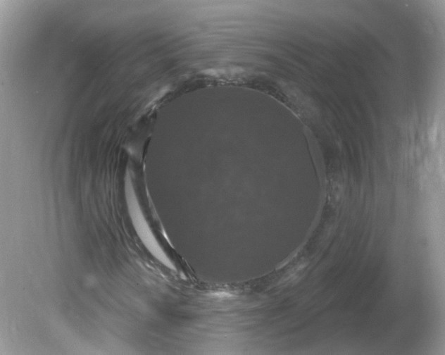 X0000081621010200701291447