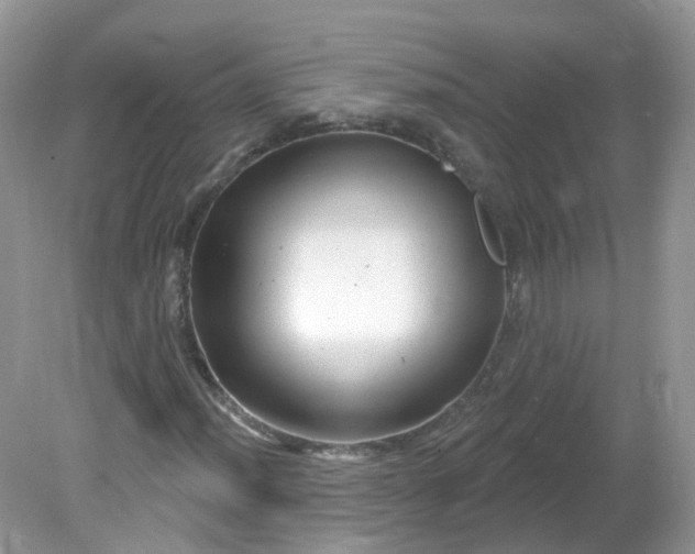 X0000081621012200701291447