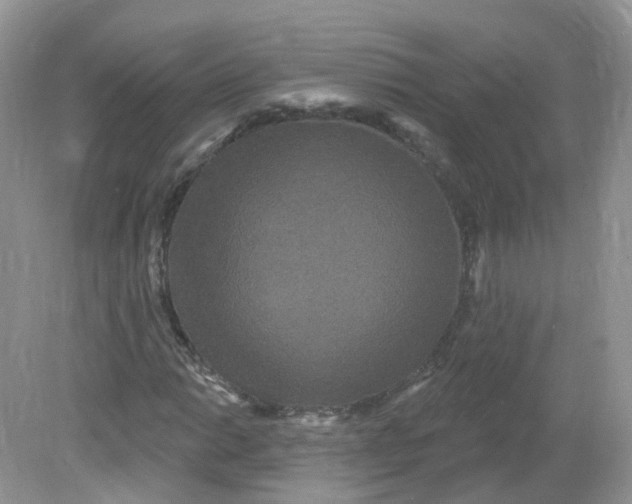 X0000081621014200701291447