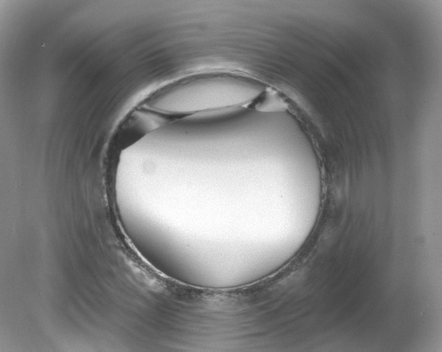 X0000081621022200701291447