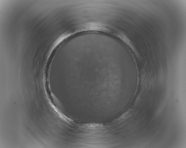 X0000081621024200701291447