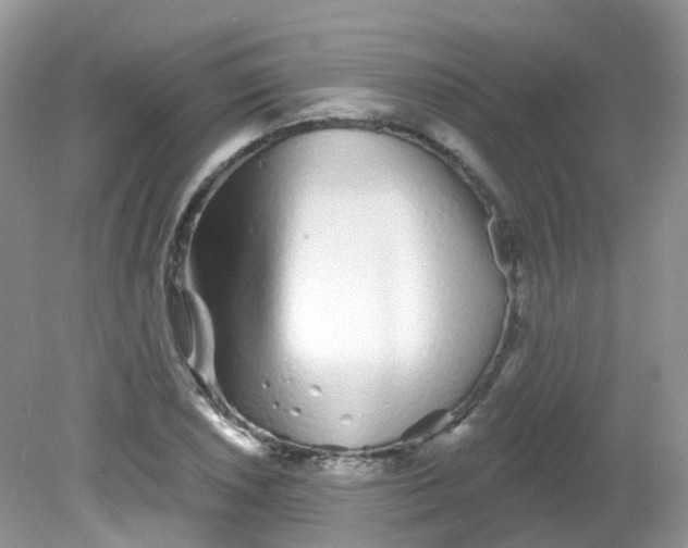 X0000081621026200701291447