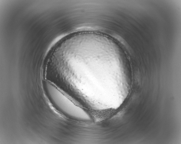 X0000081621030200701291447