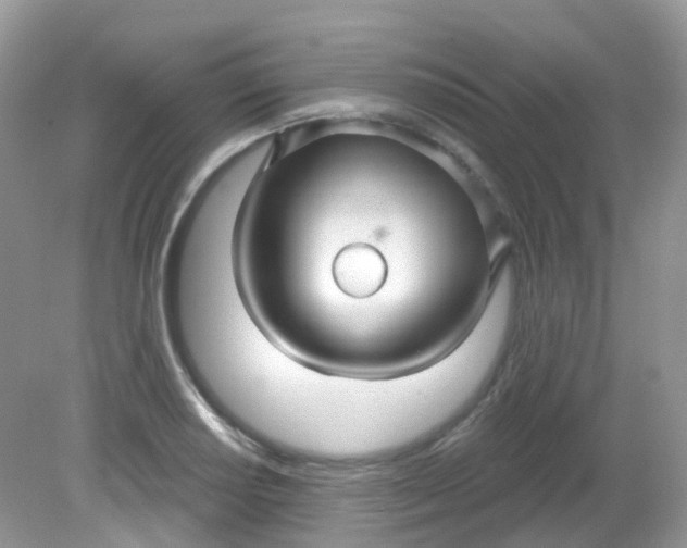 X0000081621034200701291447