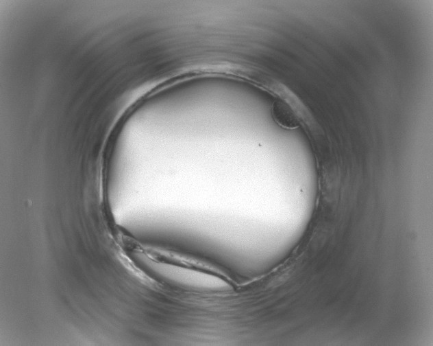 X0000081621036200701291448