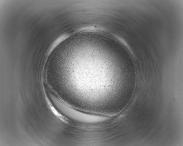 X0000081621042200701291448