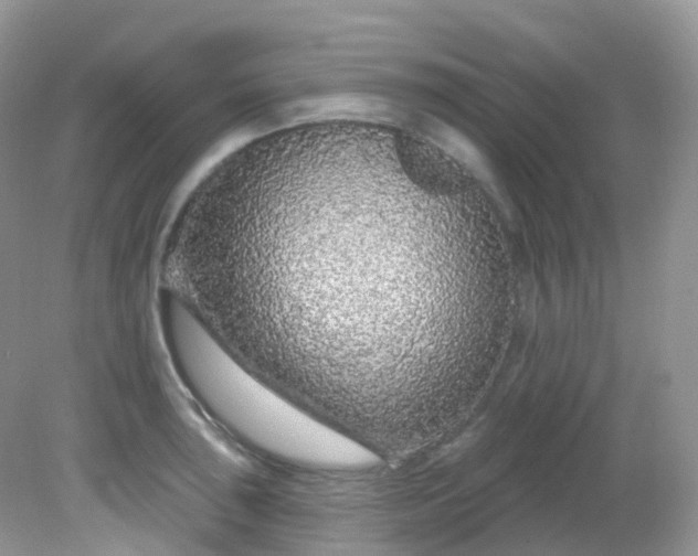 X0000081621043200701291448