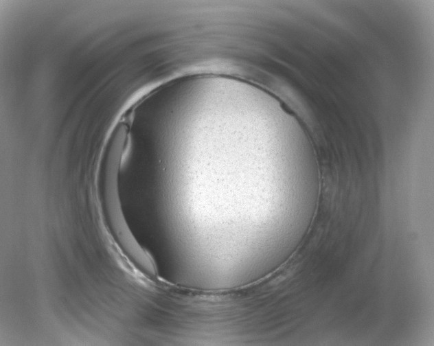 X0000081621044200701291448