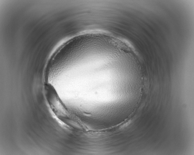 X0000081621046200701291448