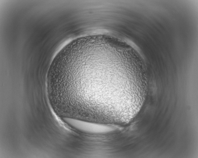 X0000081621047200701291448