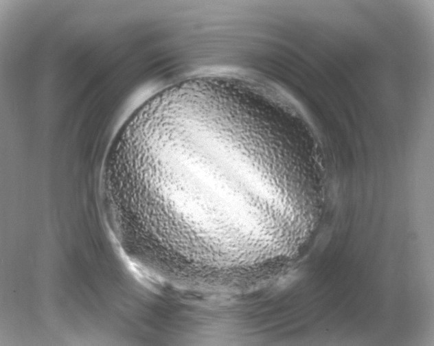 X0000081621050200701291448