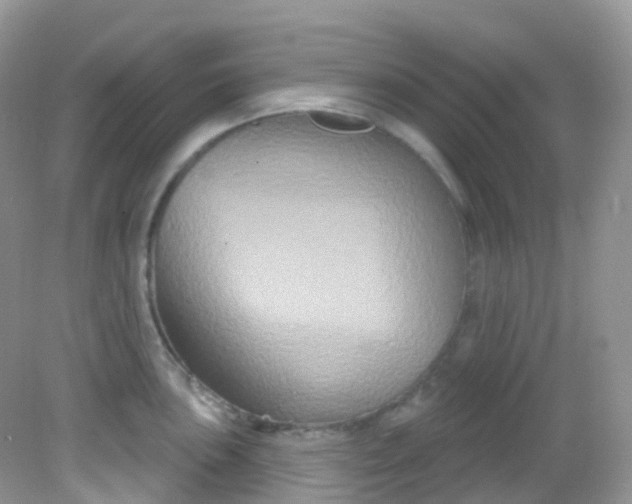 X0000081621051200701291448