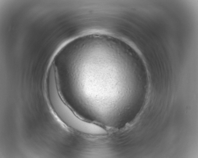 X0000081621056200701291448