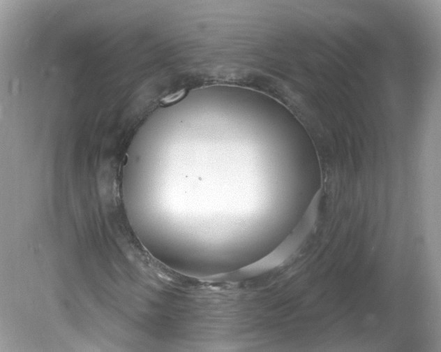 X0000081621058200701291447