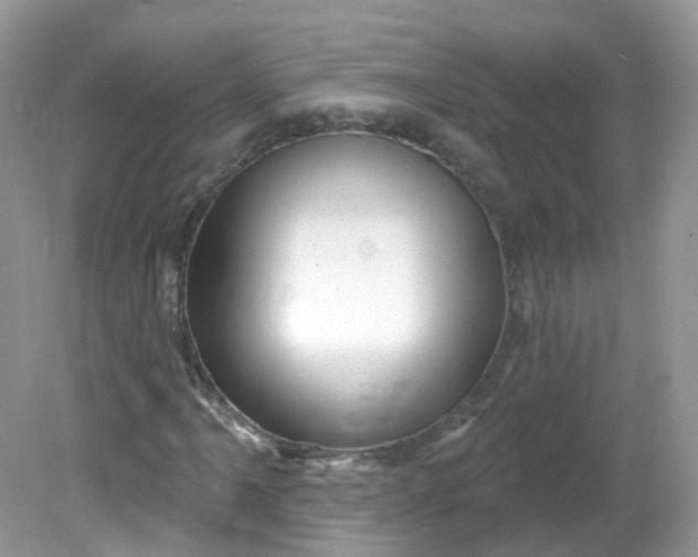 X0000081621061200701291447