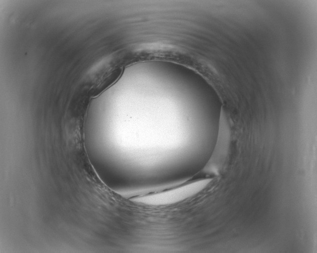 X0000081621062200701291447