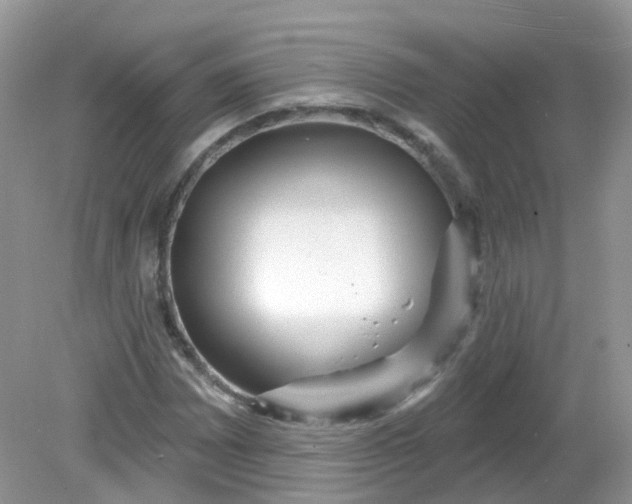 X0000081621065200701291447