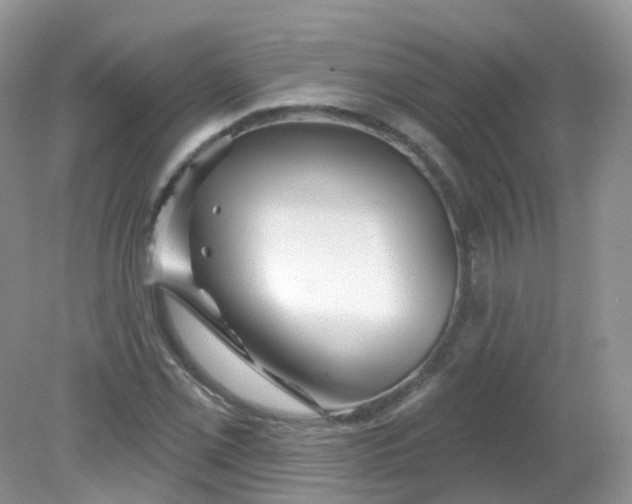 X0000081621069200701291447