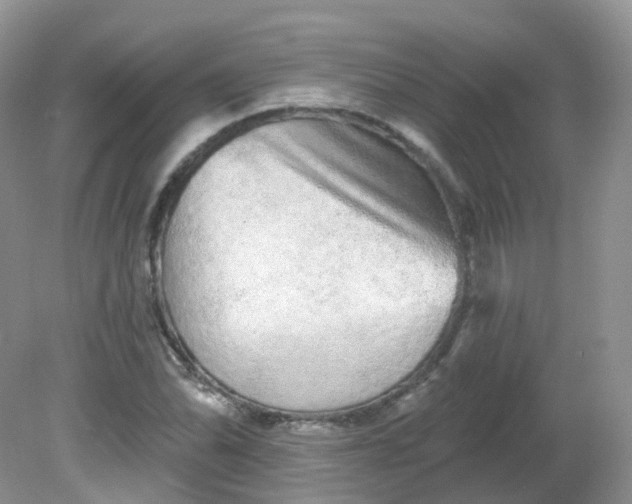 X0000081621070200701291447