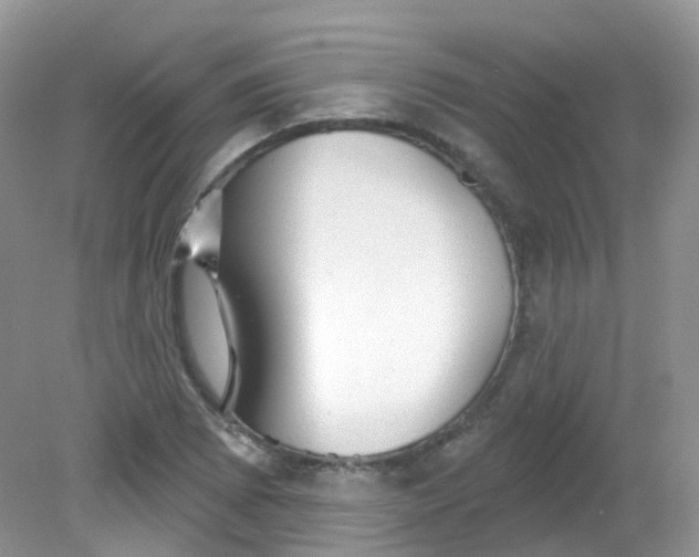 X0000081621073200701291447