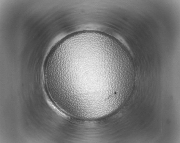 X0000081621080200701291447