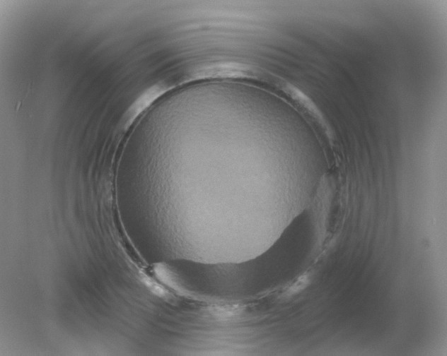 X0000081621081200701291447